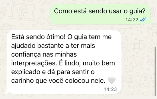 Aluna no WhatsApp: o guia tem me ajudado a ter mais confiança nas minhas interpretações